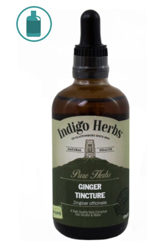 Indigo Herbs Ginger tinktura, zázvorová tinktúra, 100 ml