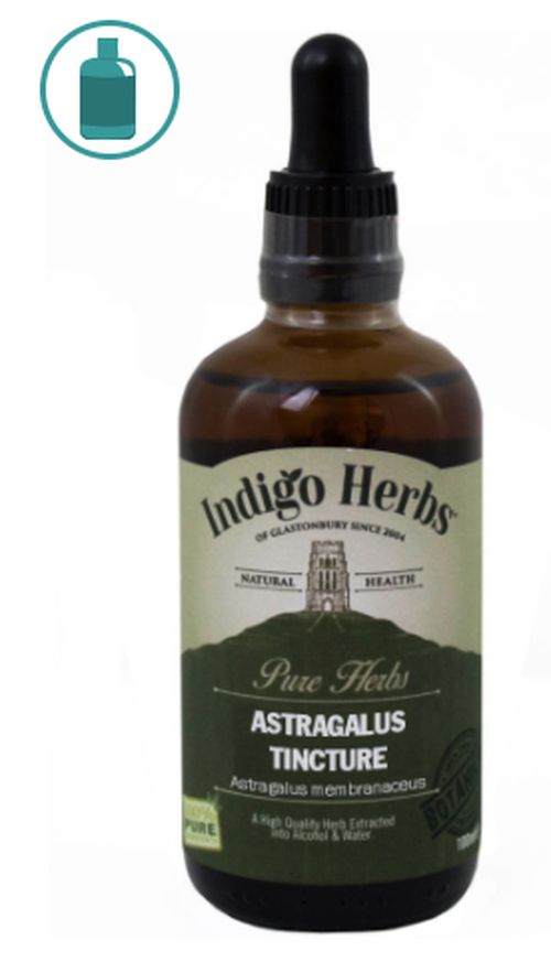Indigo Herbs Astragalus, kozinec blanitý tinktúra, 100 ml