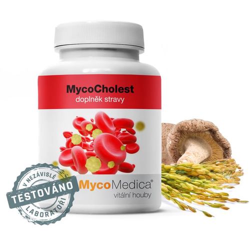 MycoMedica - MycoCholest v optimálním složení, 120 želatinových kapslí