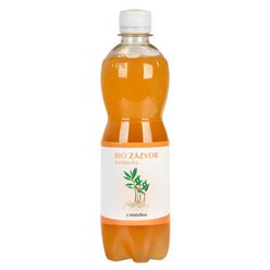 STEVIKOM - Kombucha zázvorová s meduňkou BIO, 500ml