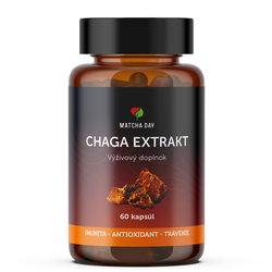 Čaga extrakt 60 kapsúl