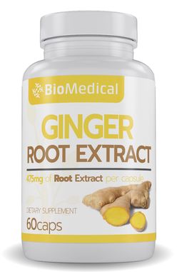 Ginger Root Extract – zázvorový extrakt v kapsulách 60 caps