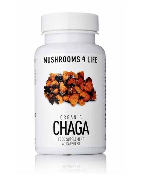 Mushrooms 4 Life Wild Chaga - Certifikovaná BIO houba, 60 kapslí