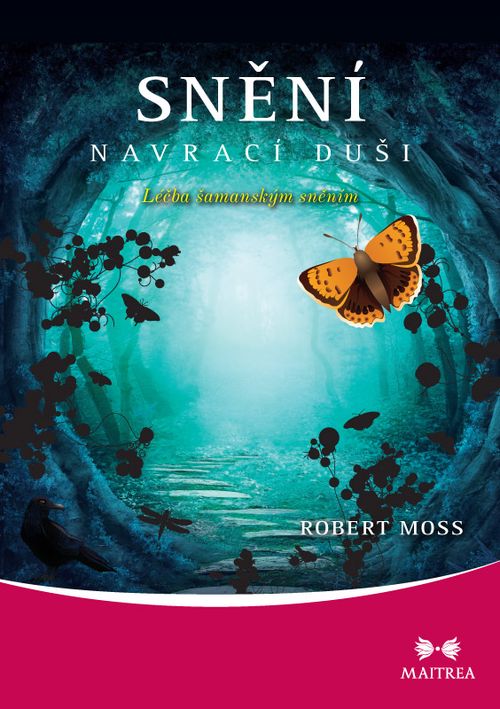 Maitrea Snění navrací duši - Robert Moss