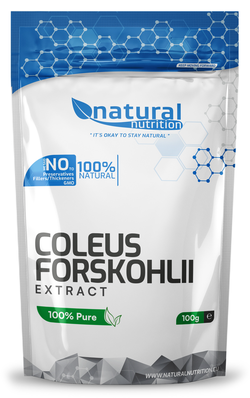 Coleus Forskohlii Extract 100g